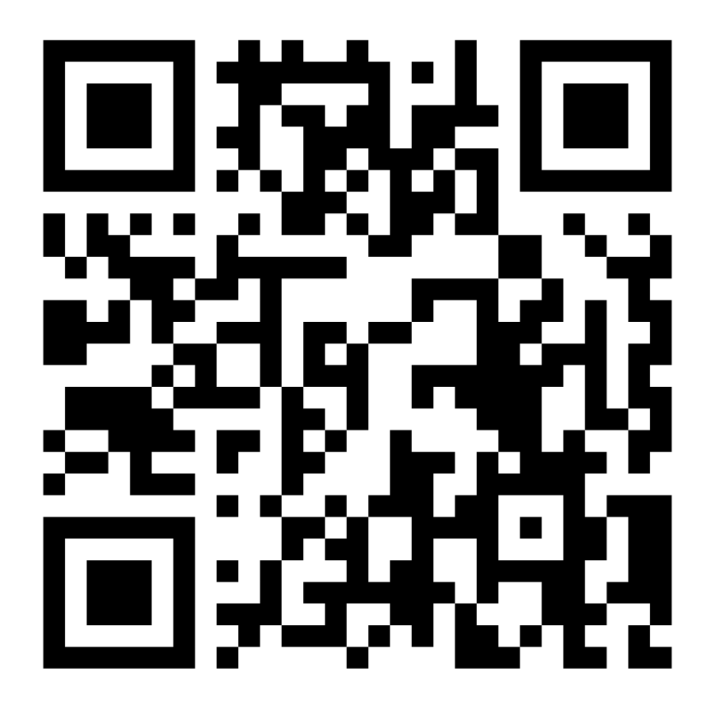 Roi De Pique Destruction Nids Guepes A Strasbourg QrRoiDePique