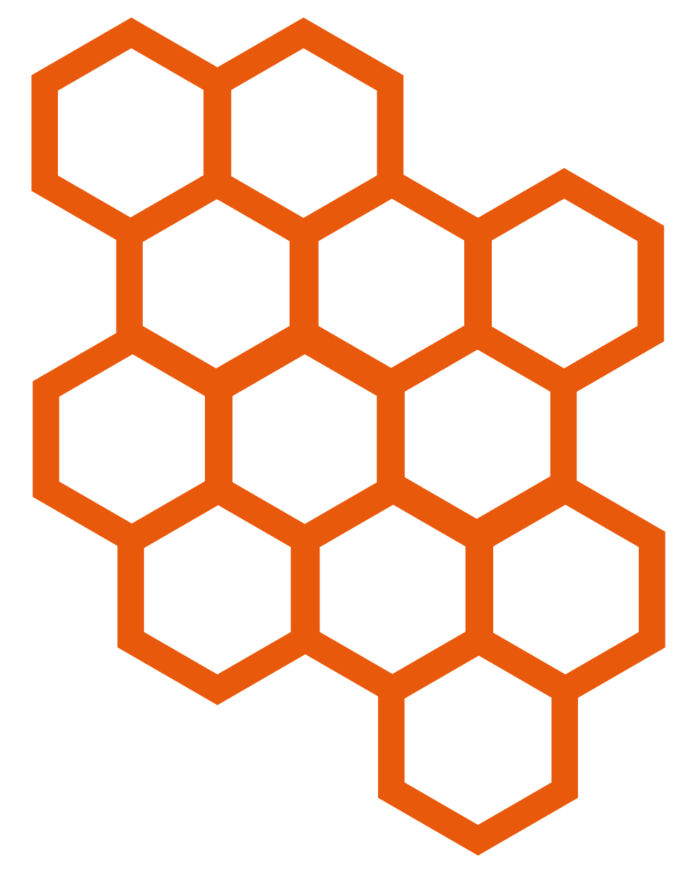 Destruction Nids Guepes A Strasbourg Alveoles